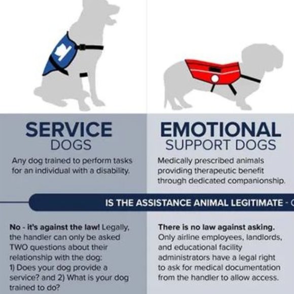 SERCOVE Airline Approved Collapsible Medium Sized Dog/Cat Carrier ( 20 Lbs.max) - Picture 12 of 17